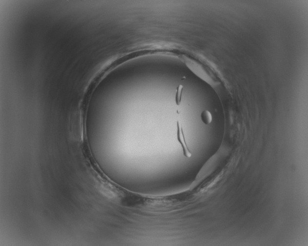 X0000075411171200609081303