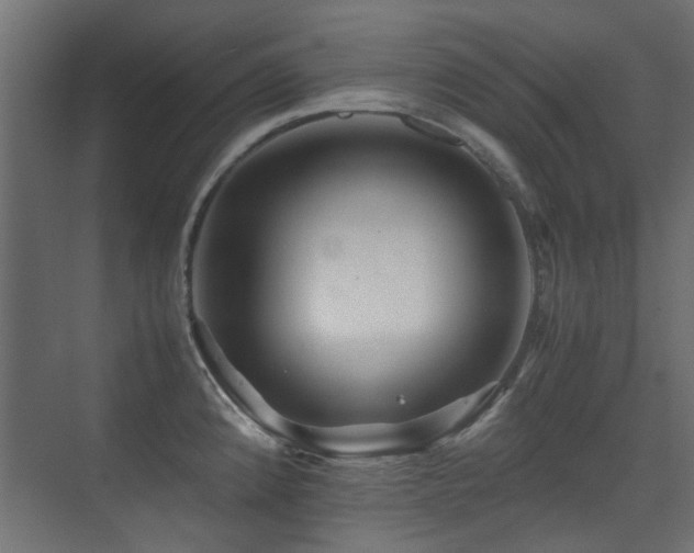 X0000075411192200609081303