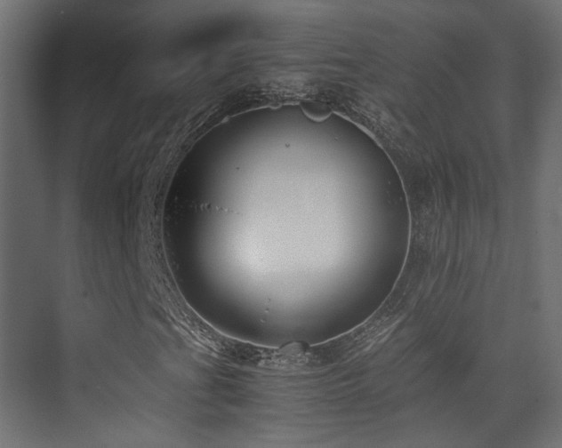 X0000075411201200609081302