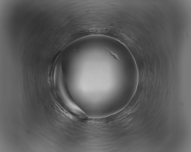 X0000075411202200609081302