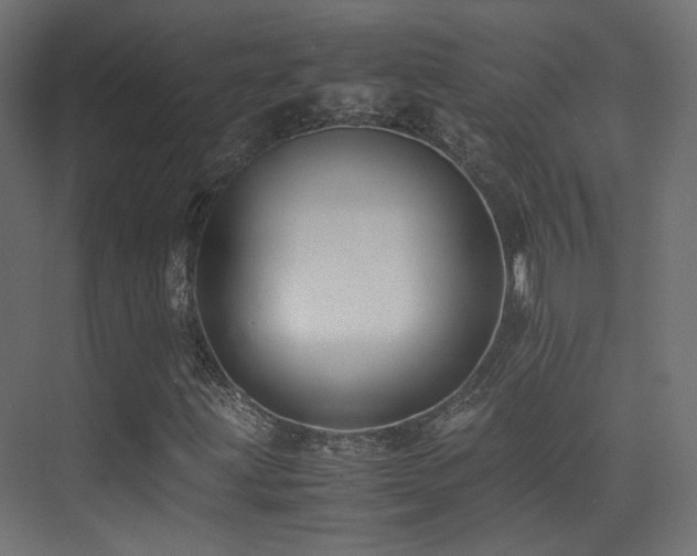 X0000075411203200609081302