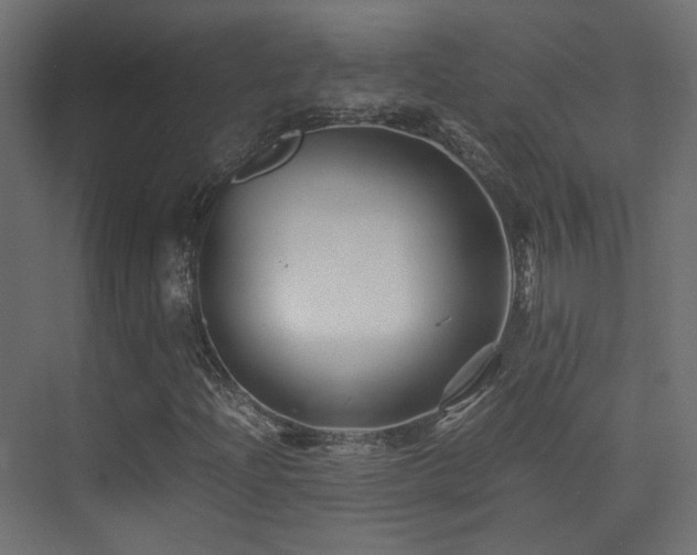 X0000075411204200609081302