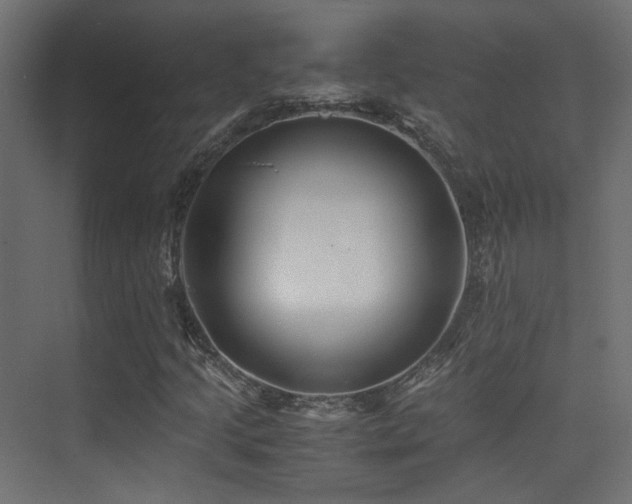X0000075411205200609081302