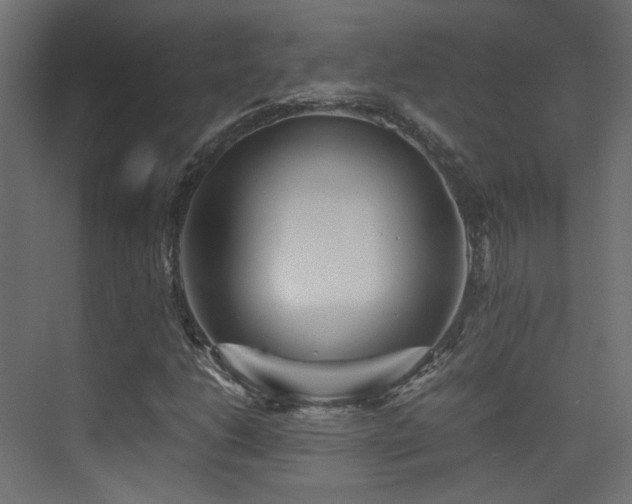 X0000075411206200609081302