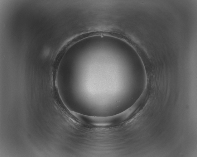 X0000075411214200609081302