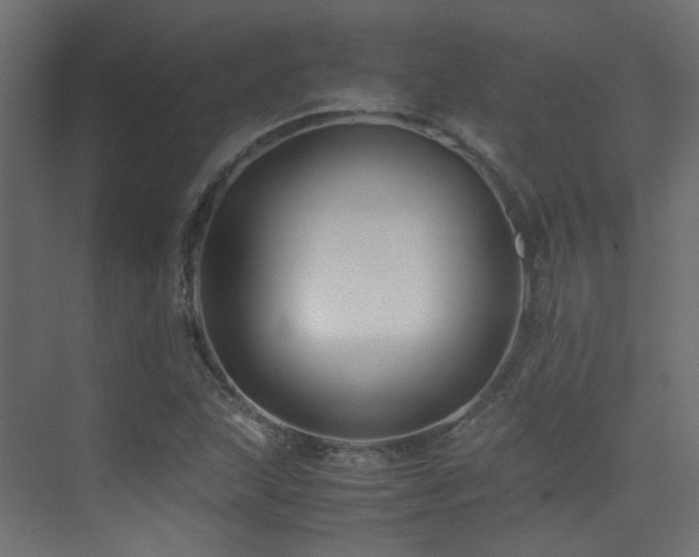 X0000075411215200609081302
