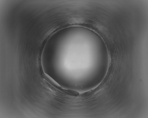 X0000075411217200609081302