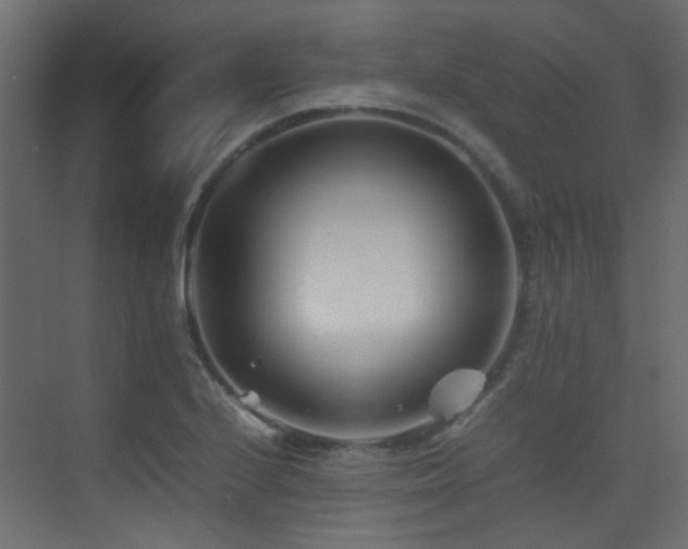 X0000075411224200609081303
