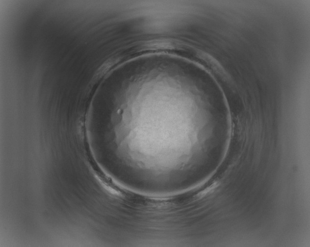 X0000075411225200609081303
