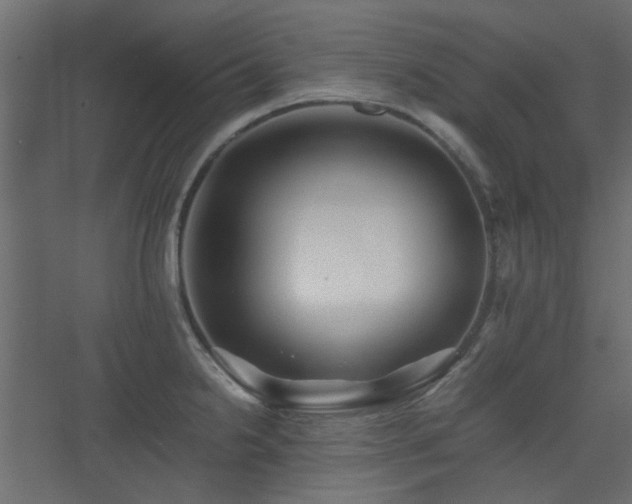X0000075411238200609081303