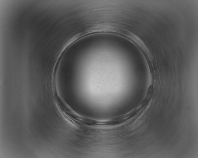 X0000075411242200609081303