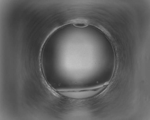 X0000075411248200609081303