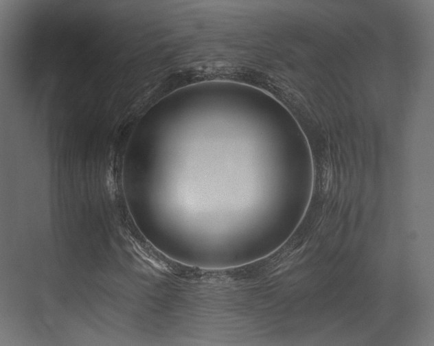 X0000075411250200609081302