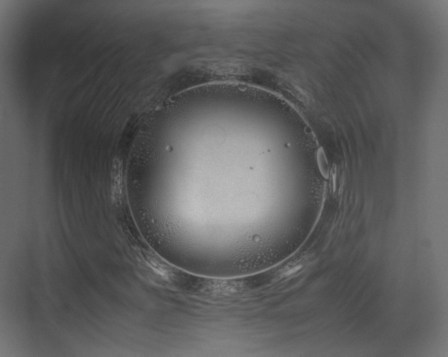X0000075411251200609081302