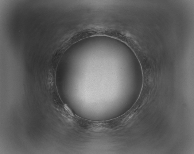 X0000075411253200609081302