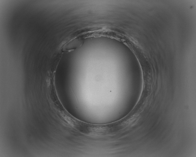 X0000075411257200609081302