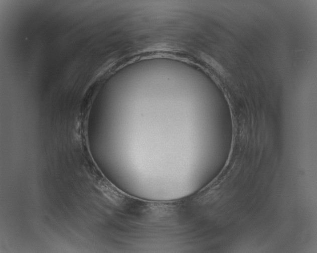 X0000075411258200609081302