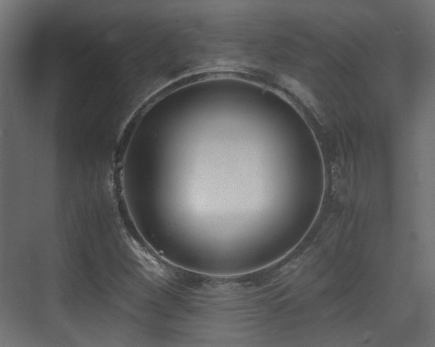 X0000075411260200609081302