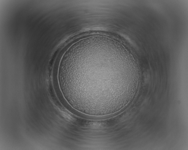 X0000075411266200609081302