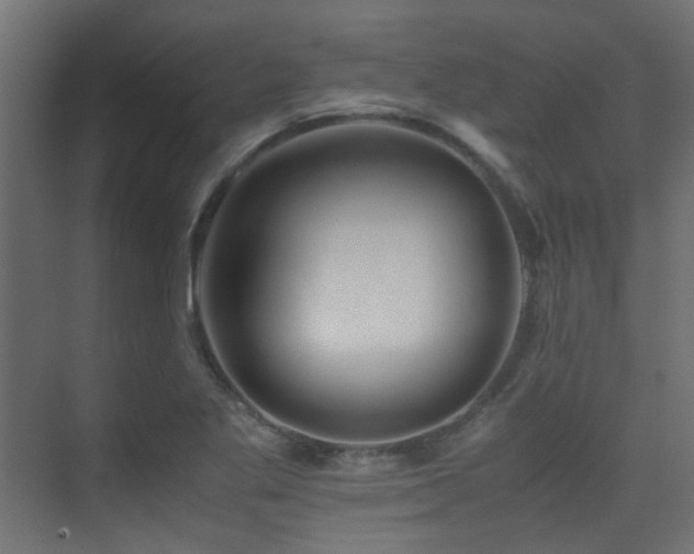 X0000075411269200609081302