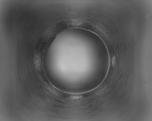 X0000075411299200609081301