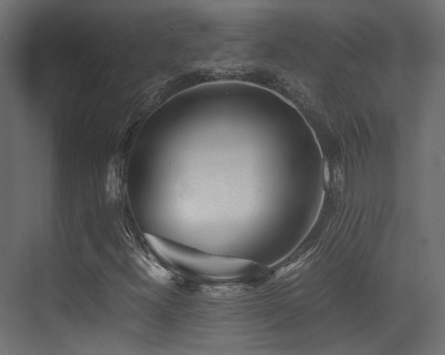X0000075411300200609081301