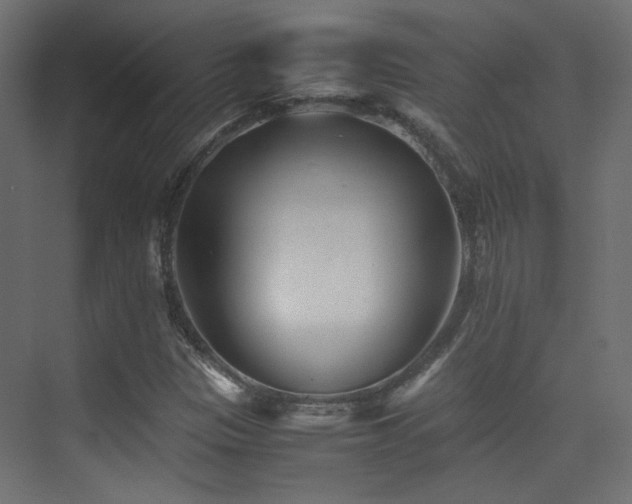 X0000075411305200609081301
