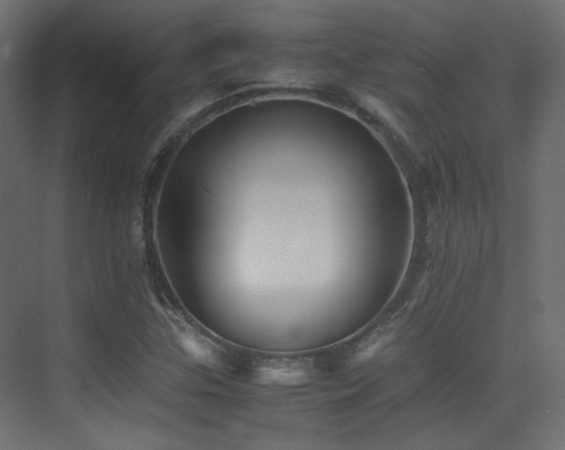 X0000075411307200609081301