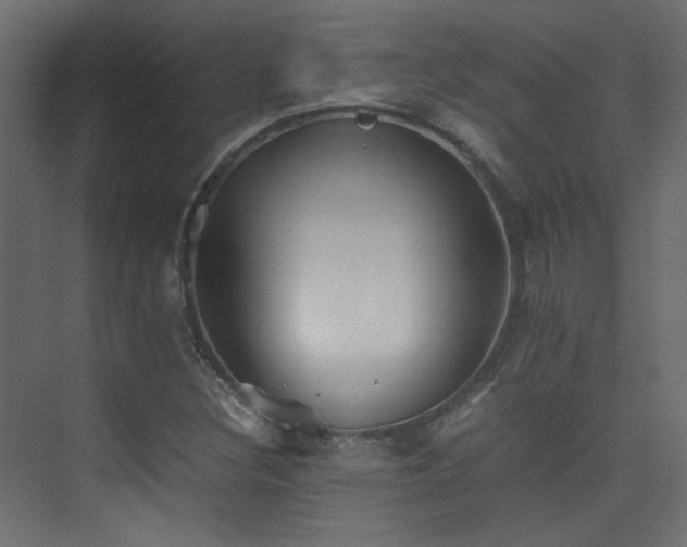 X0000075411308200609081301