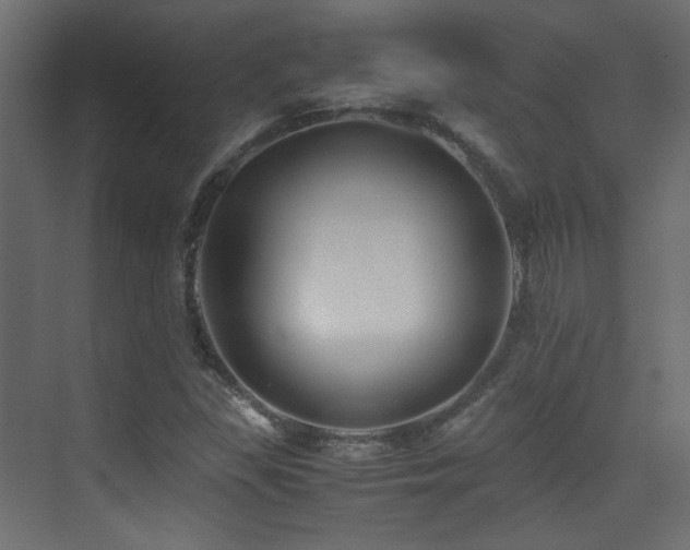 X0000075411309200609081301