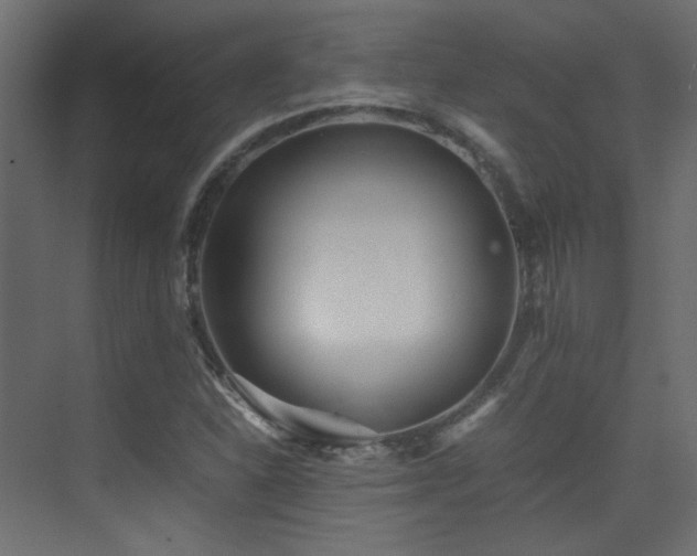 X0000075411310200609081301