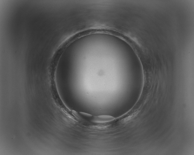 X0000075411311200609081301