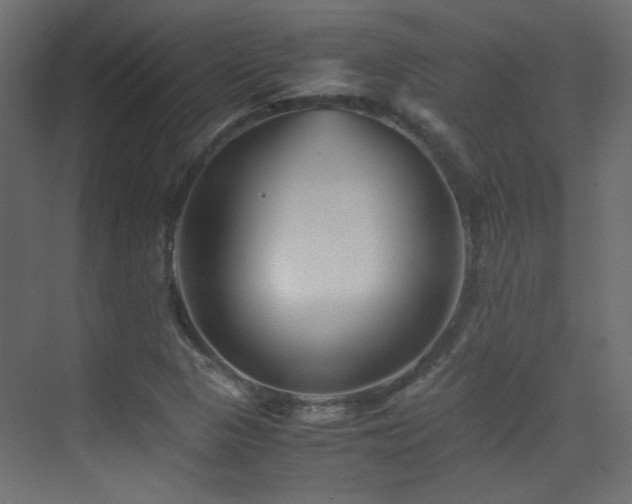 X0000075411313200609081301