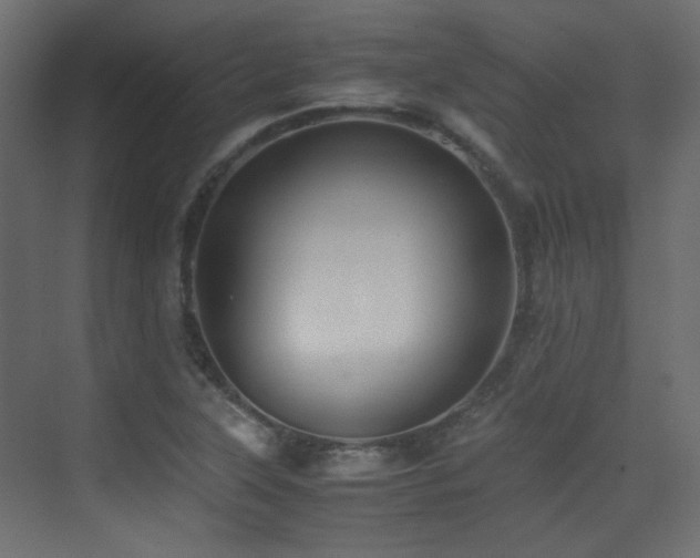 X0000075411315200609081301