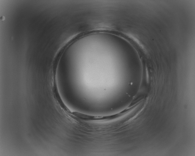 X0000075411317200609081301