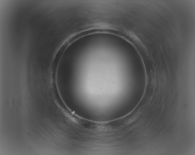 X0000075411318200609081301