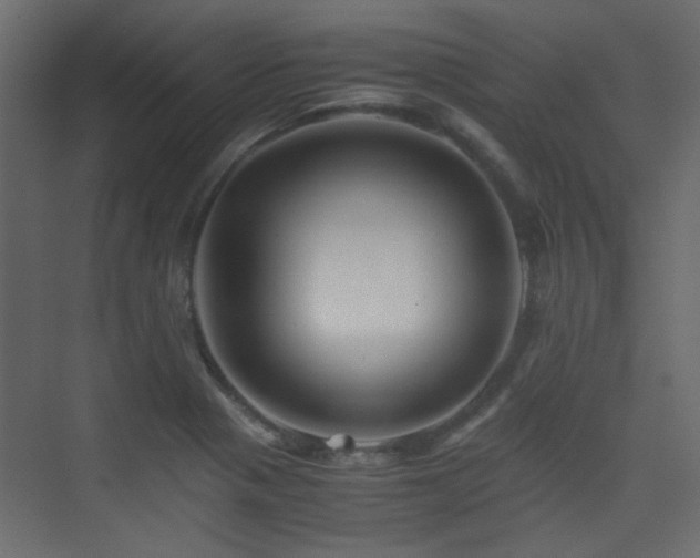 X0000075411321200609081301