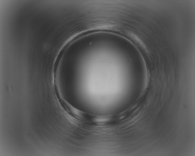 X0000075411324200609081301