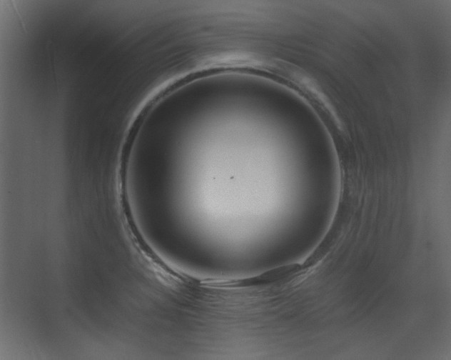 X0000075411328200609081301