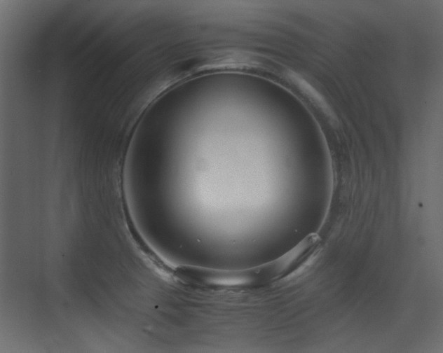 X0000075411329200609081301