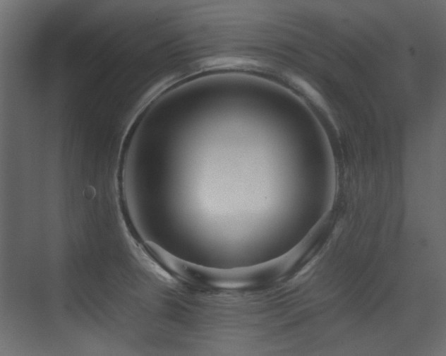 X0000075411330200609081301