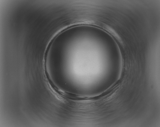 X0000075411332200609081301