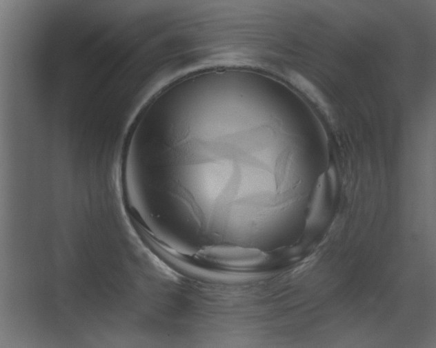 X0000075411334200609081301