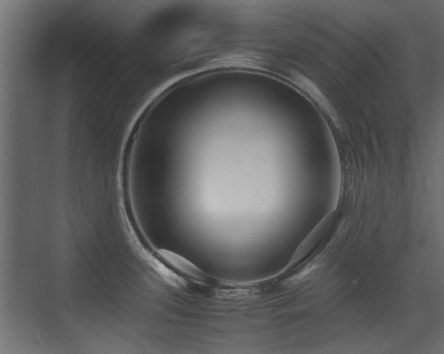 X0000075411339200609081301