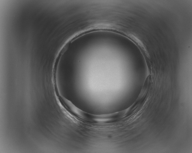 X0000075411342200609081301