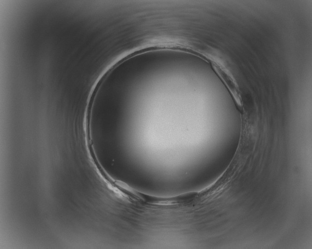 X0000075411343200609081301