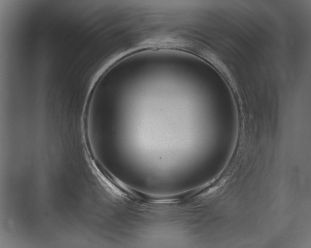 X0000075411344200609081301