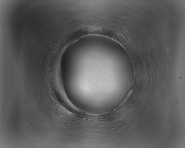 X0000075411345200609081301