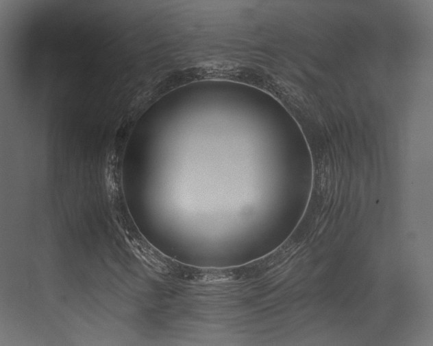 X0000075411346200609081300