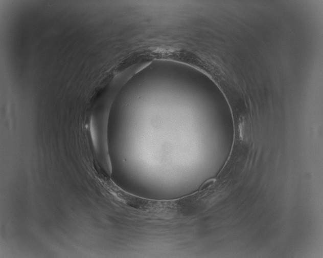 X0000075411347200609081300